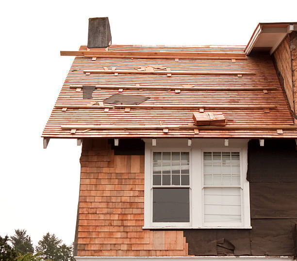 Affordable Siding Repair and Maintenance Services in East Lansdowne, PA